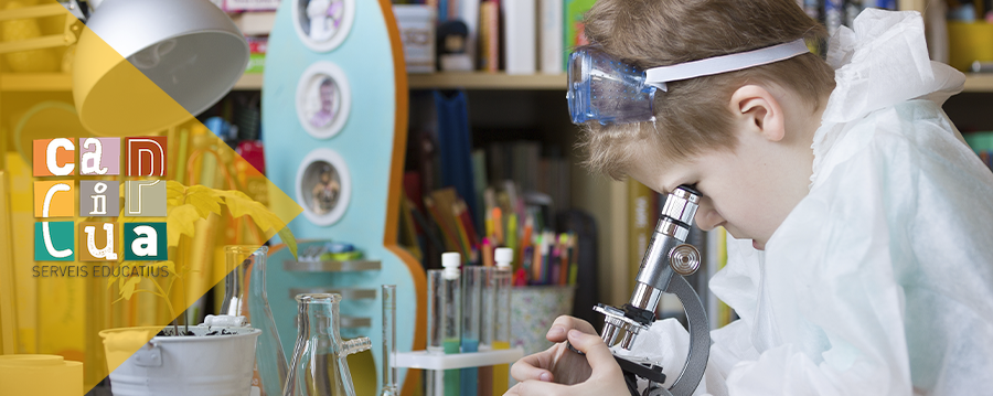 Fomentant l’aprenentatge STEM: diversió i descobriment en cada experiment!